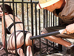 Big Tits Fetish, Brazzers Password Holly West